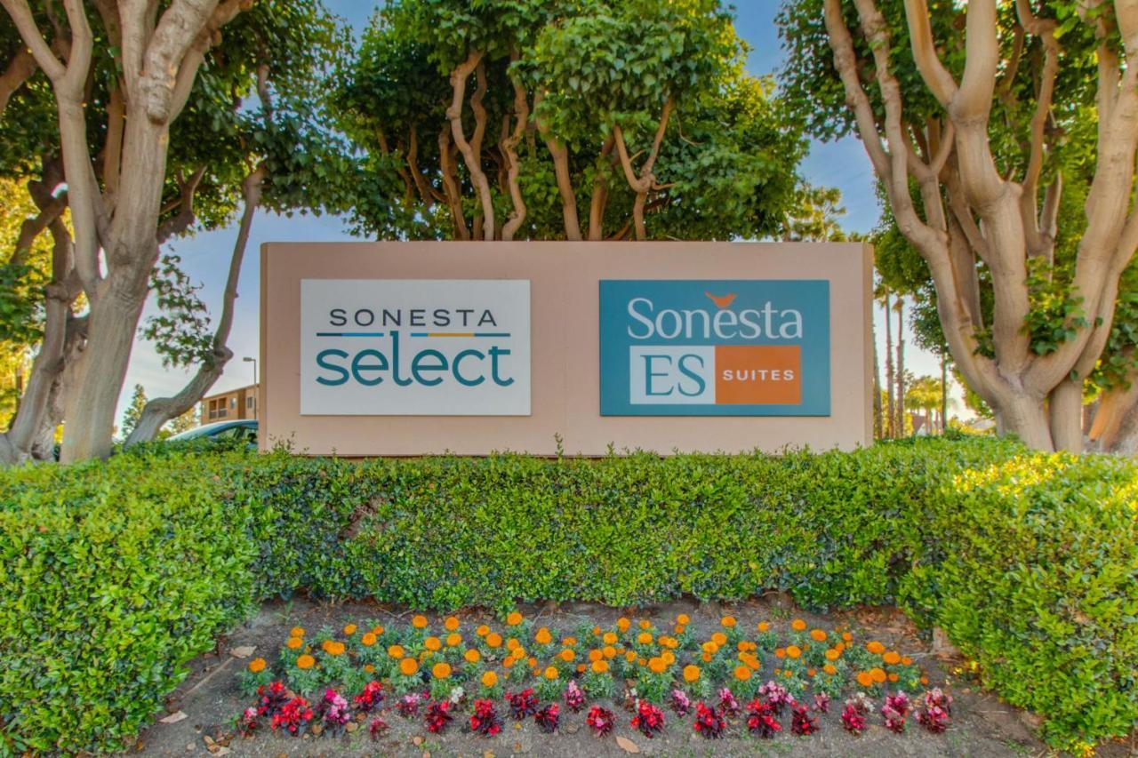 Sonesta Es Suites Huntington Beach Fountain Valley Buitenkant foto